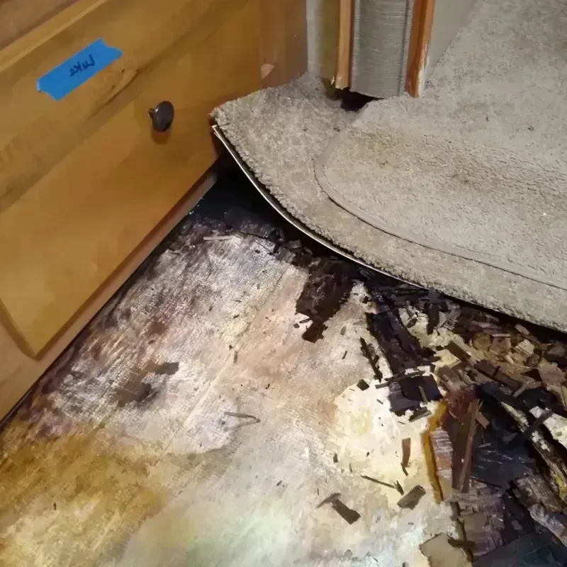 Best Wood Floor Water Damage Service in Burnettown, SC